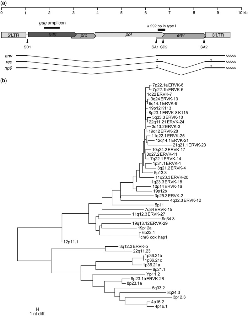 Fig. 1.—