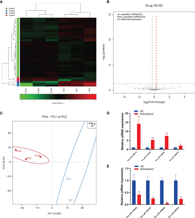 Figure 2