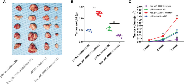 Figure 6