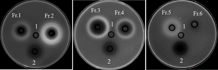 Fig. 2