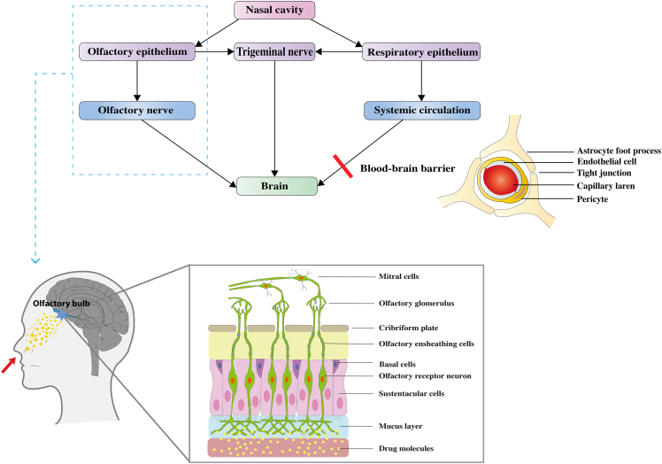 Figure 1