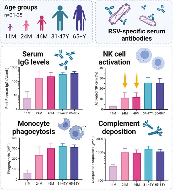 Graphical Abstract