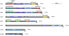 Fig. (4). Domain organization of Dictyostelium arrestin clan proteins.