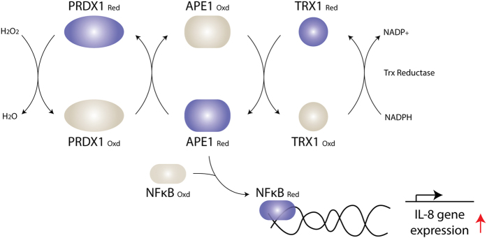 Figure 7