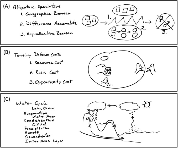 FIGURE 1.