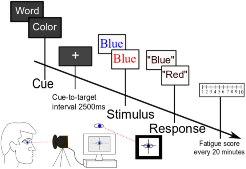 FIGURE 1