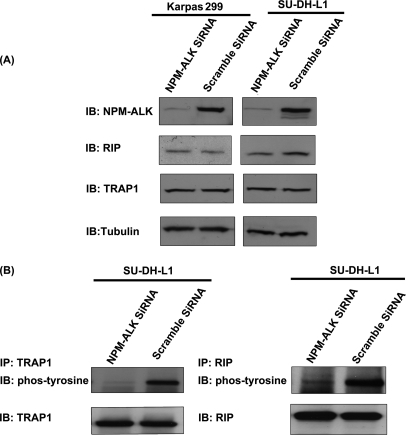 Fig. 10.