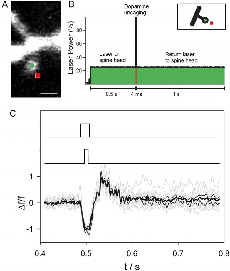 Figure 4