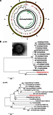 Fig. 8