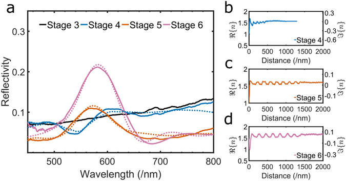 Figure 5