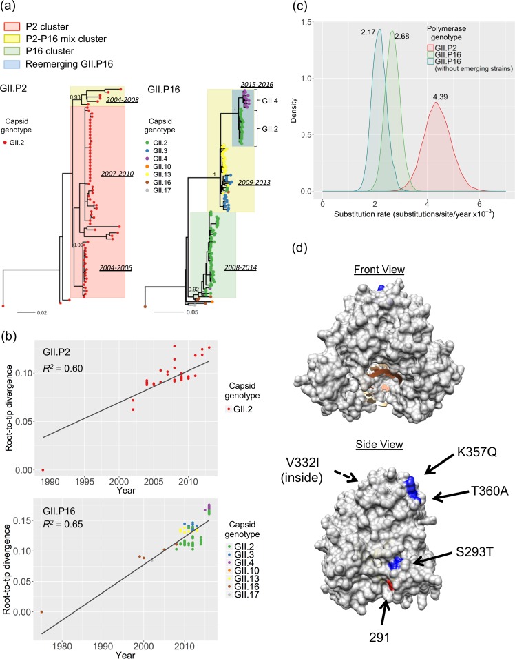 FIG 4 