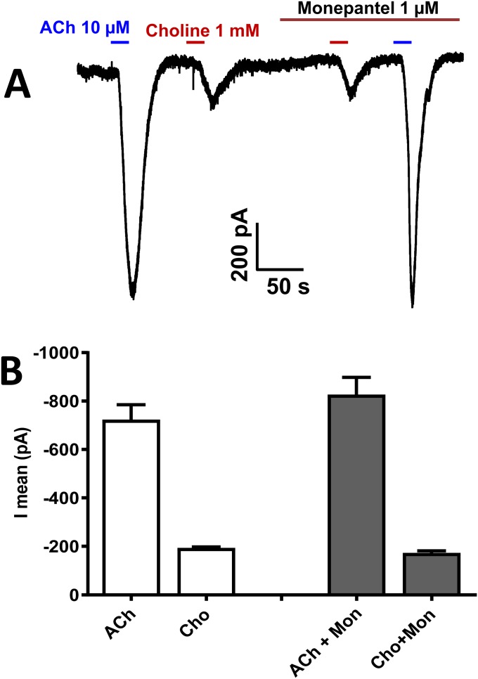 Fig. S6.