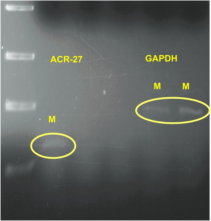 Fig. S1.