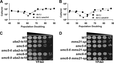 FIGURE 4.