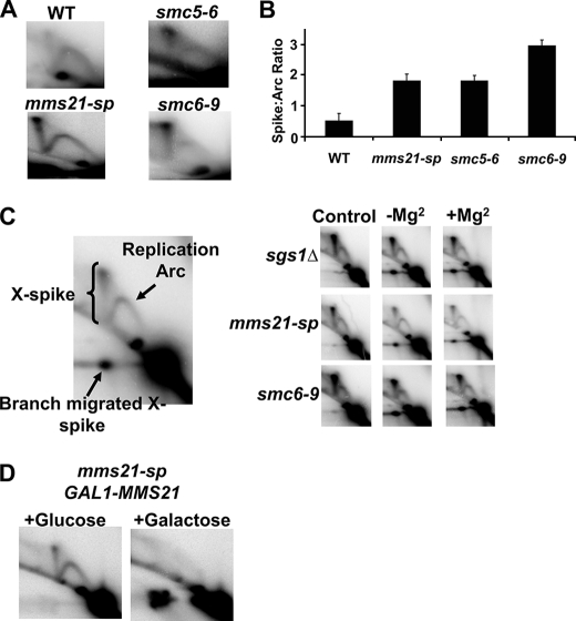 FIGURE 6.