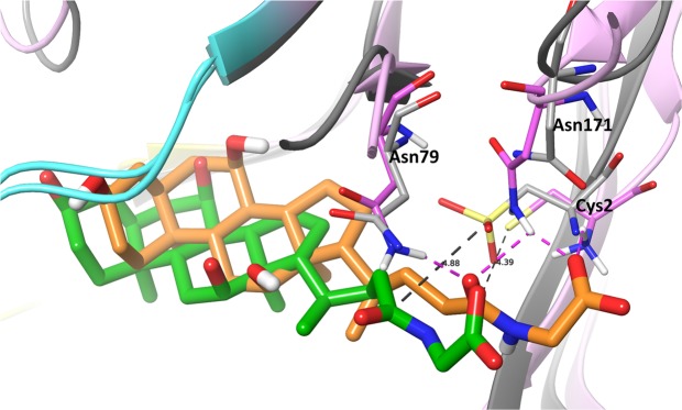 Figure 5