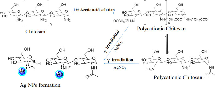 Scheme 2