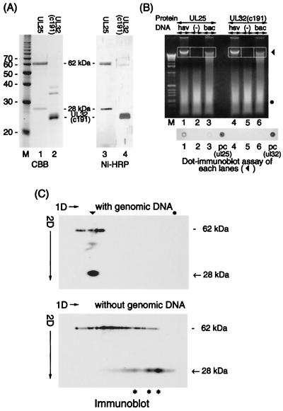 FIG. 5