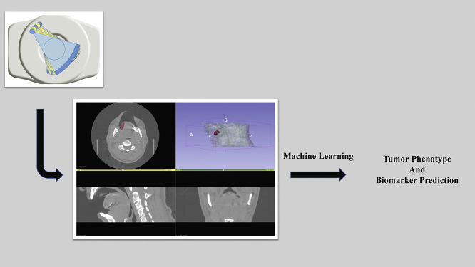 Unlabelled Image