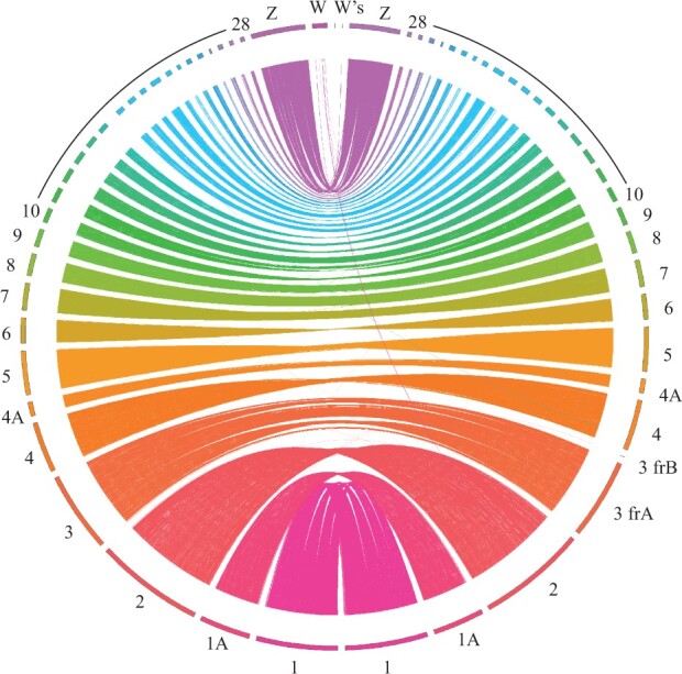 Fig. 2.