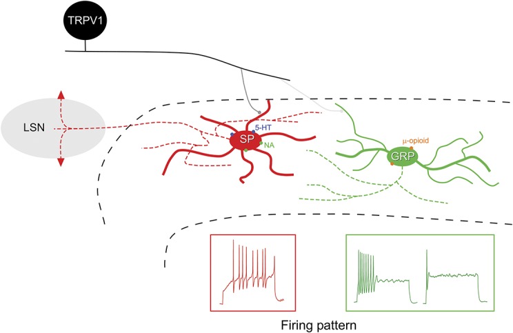 Figure 12.