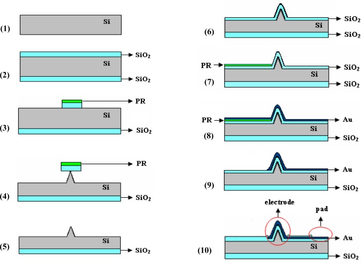 Figure 1.