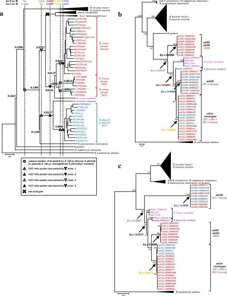 Fig. 3