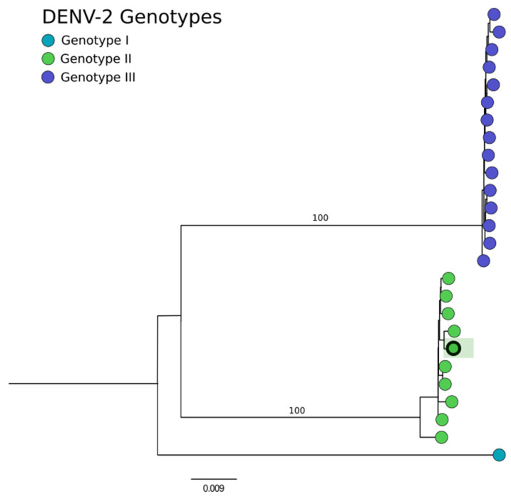 Figure 6