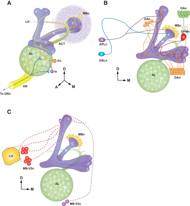 Figure 1.