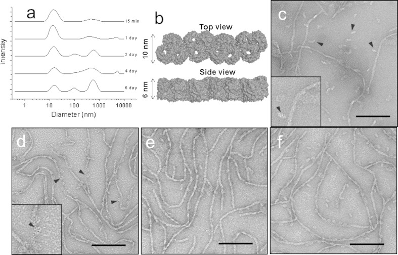 Fig. 3