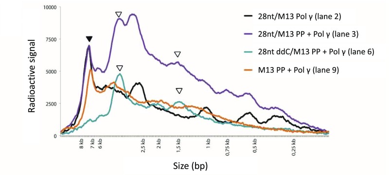 Fig. S3.