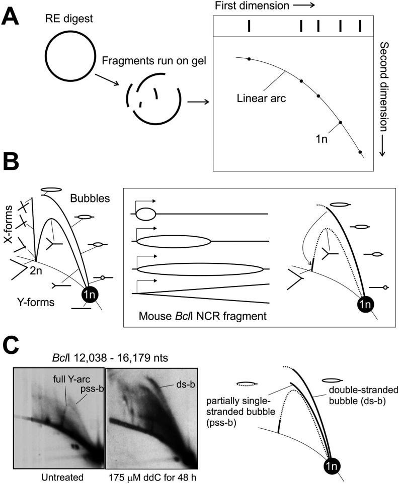 Fig. S1.