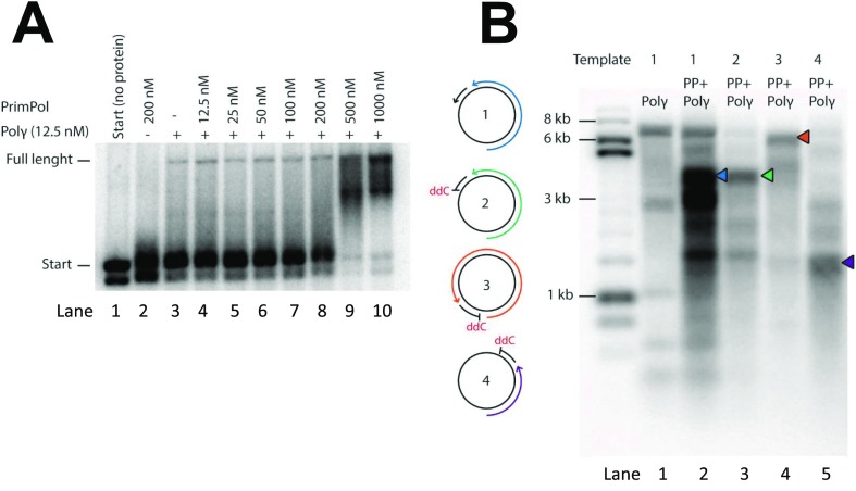 Fig. S5.