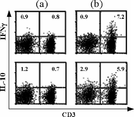 FIG. 6.