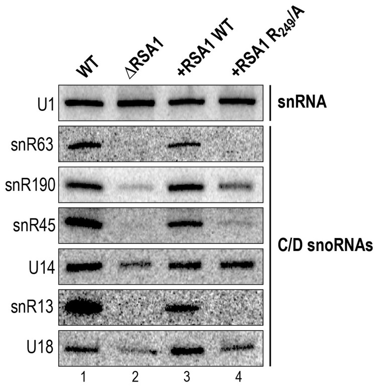 Figure 6.