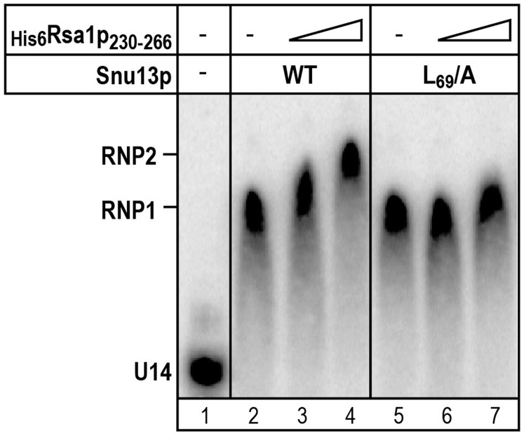 Figure 9.