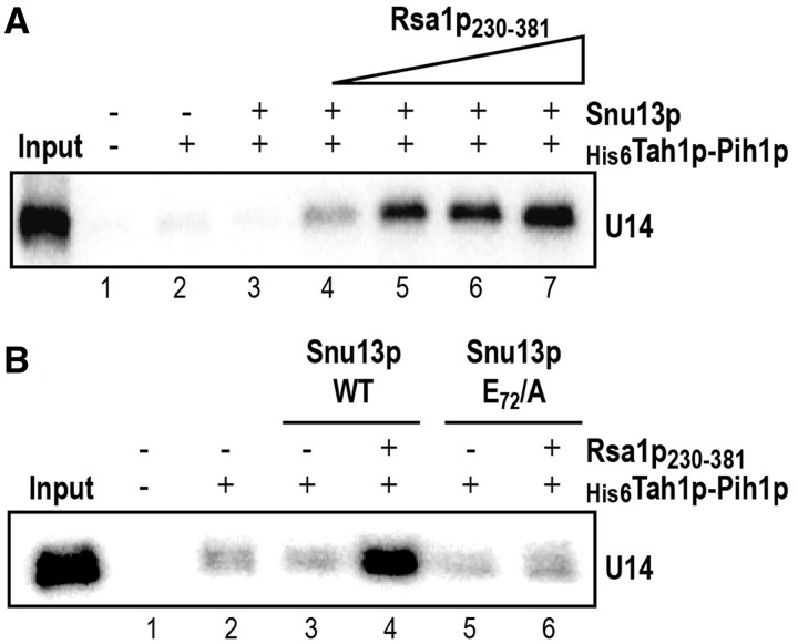 Figure 7.