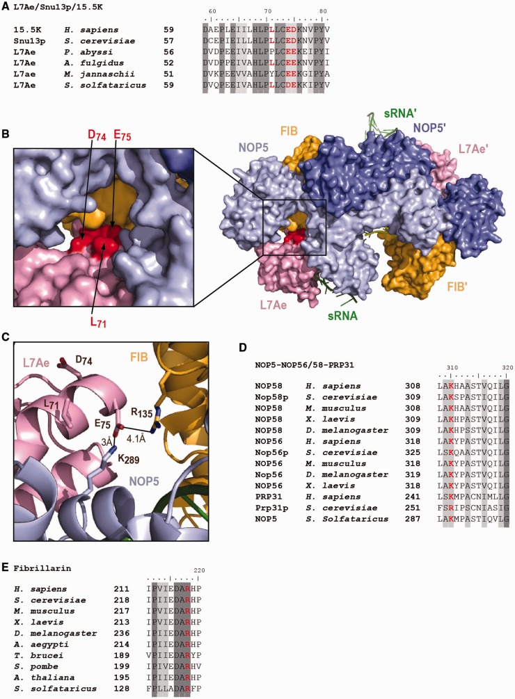 Figure 10.