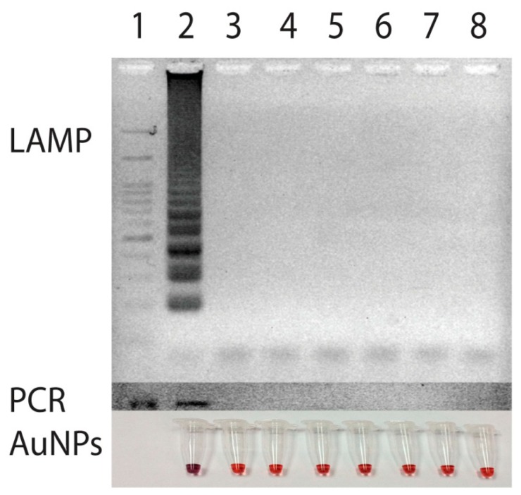 Figure 4.
