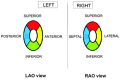 Figure 10: