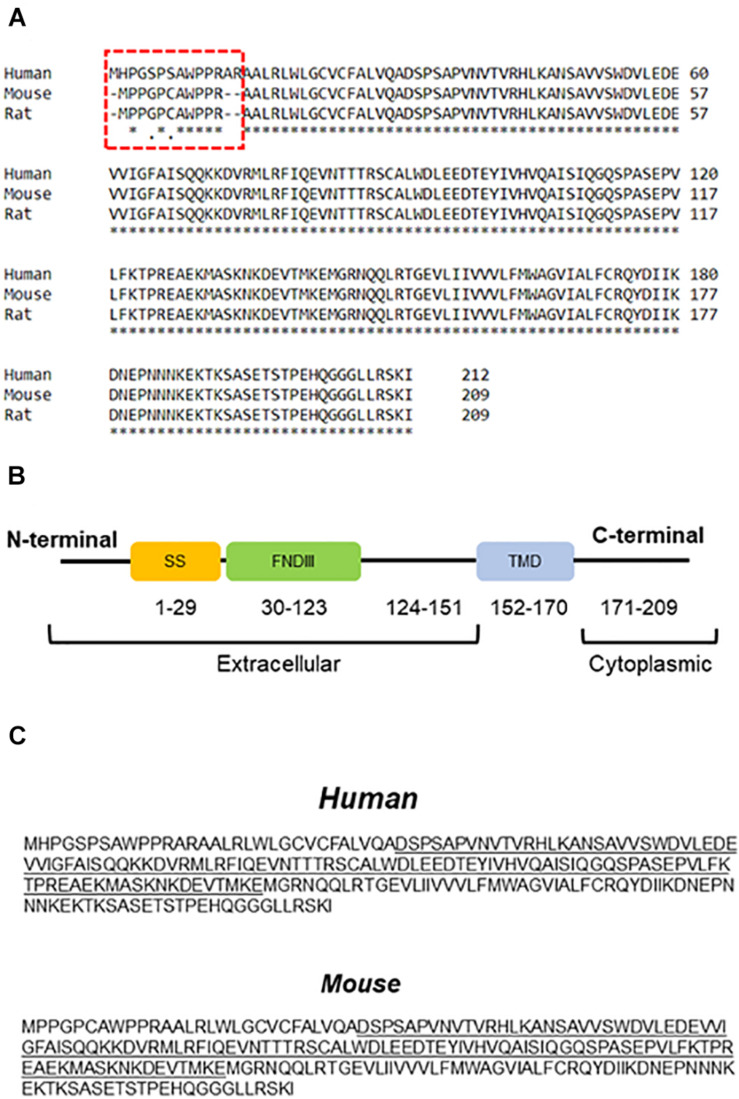 FIGURE 1