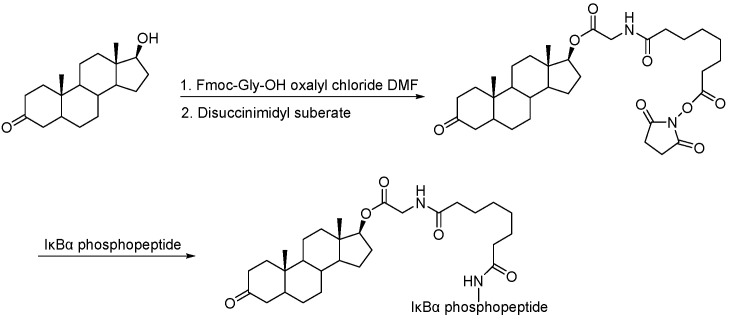 Scheme 4