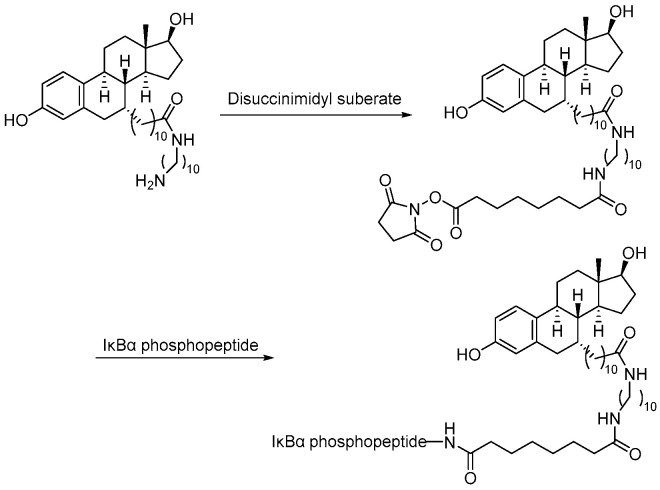 Scheme 3