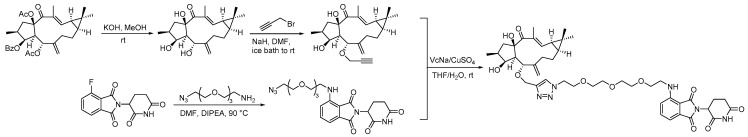 Scheme 12