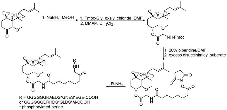 Scheme 15