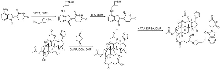 Scheme 10