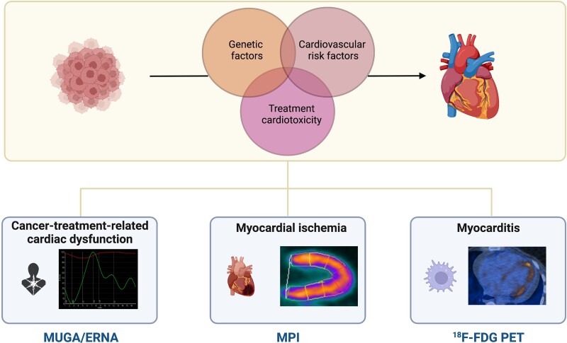 Graphical Abstract