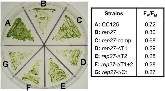 Figure 10.