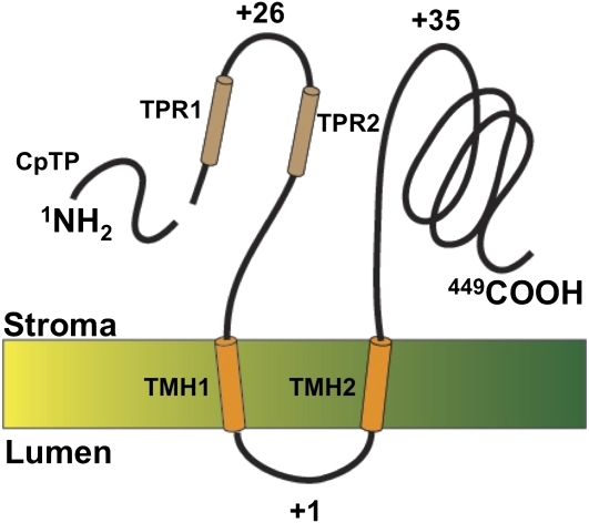 Figure 7.