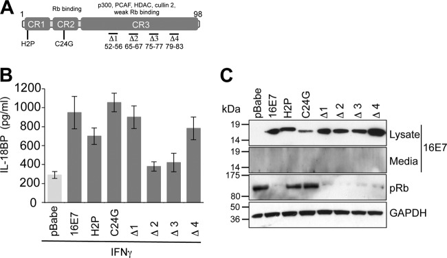 FIG 2